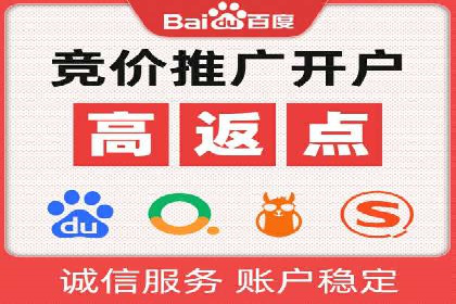 百度SEO推广策略案例：一家公司的成功转型之路